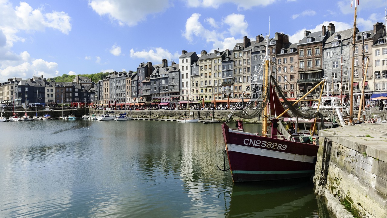 Photo of Outdoor in Enclos