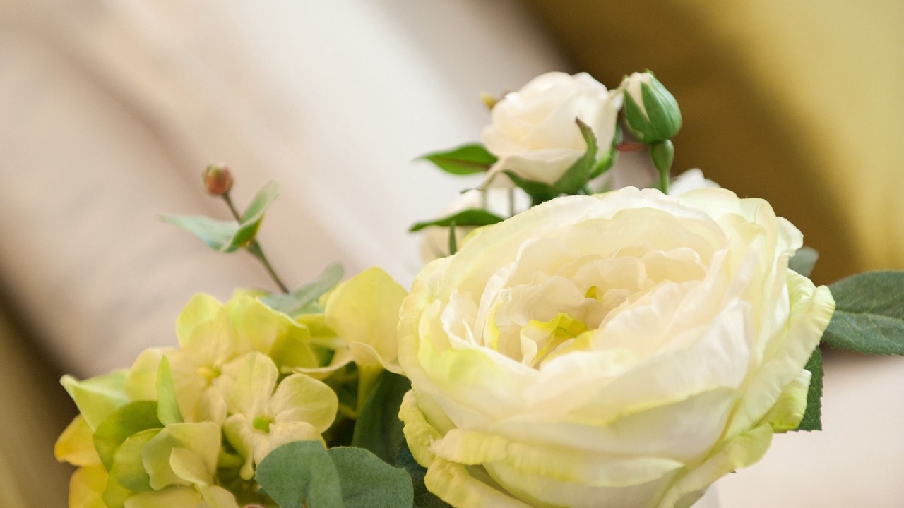 Photo of Bedroom in Bootham