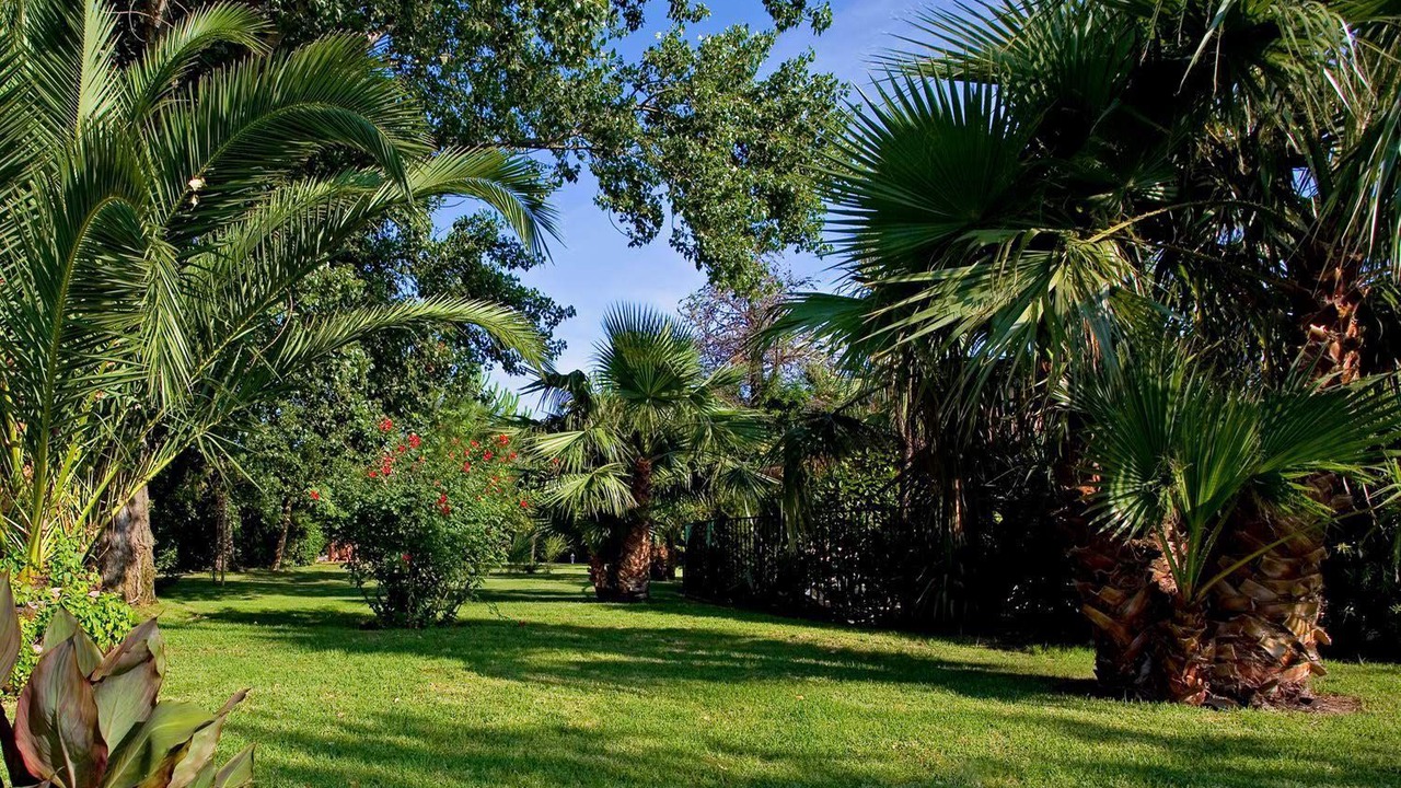 Photo of Outdoor in Argeles-sur-Mer