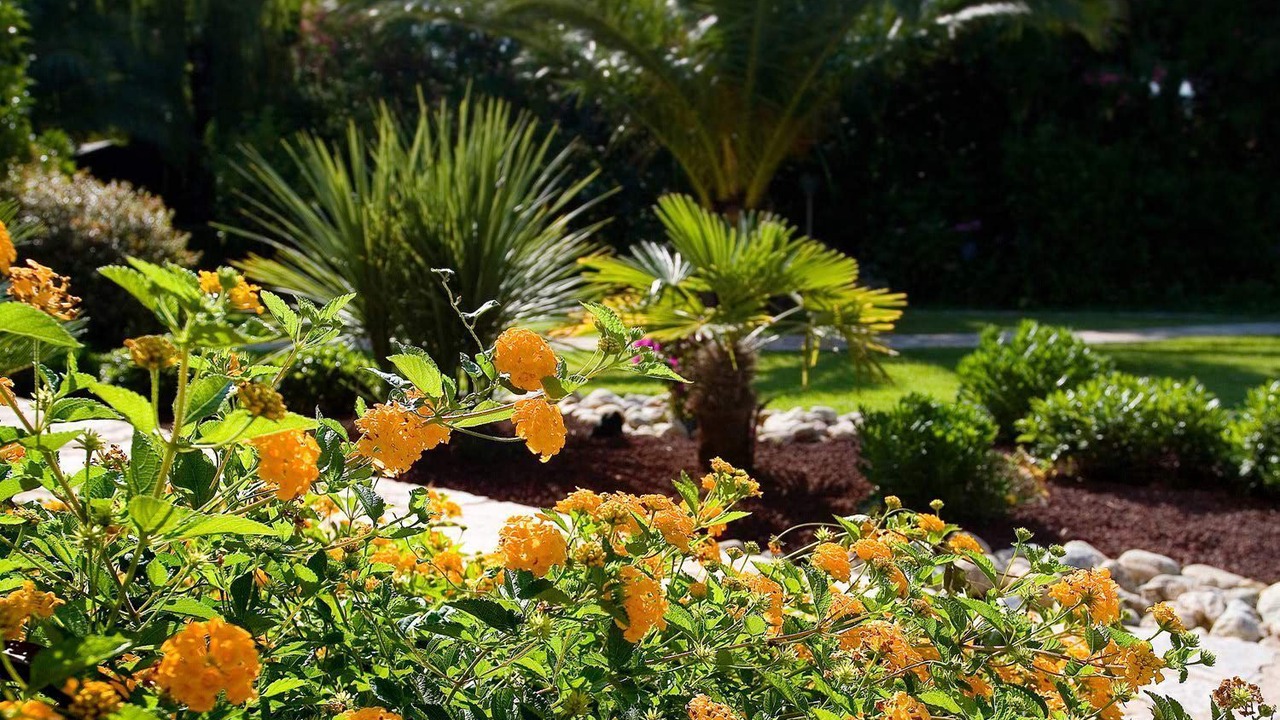 Photo of Outdoor in Argeles-sur-Mer