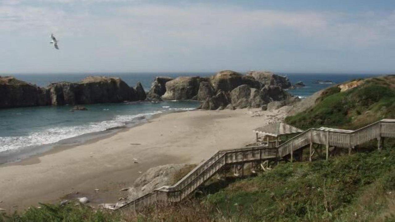 Photo of Others in Newport