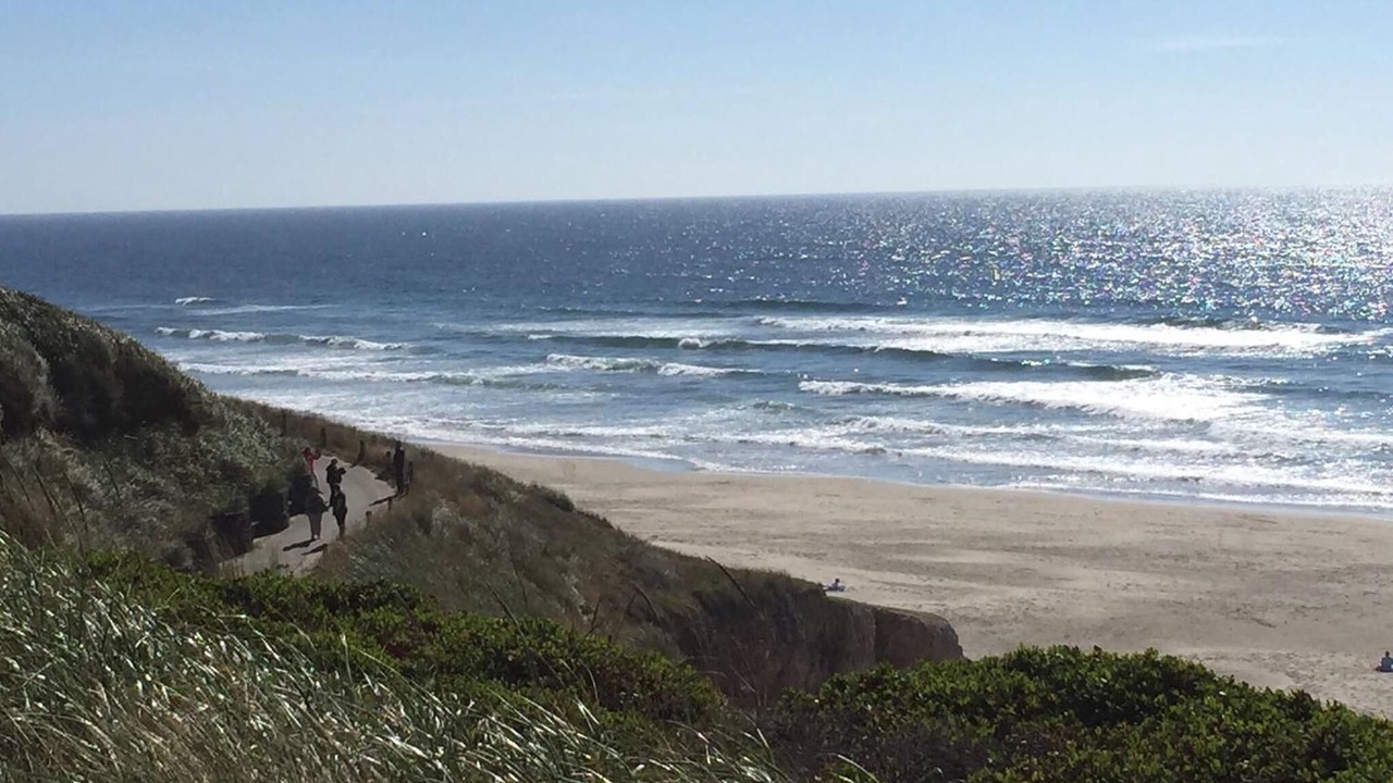 Photo of Others in Newport