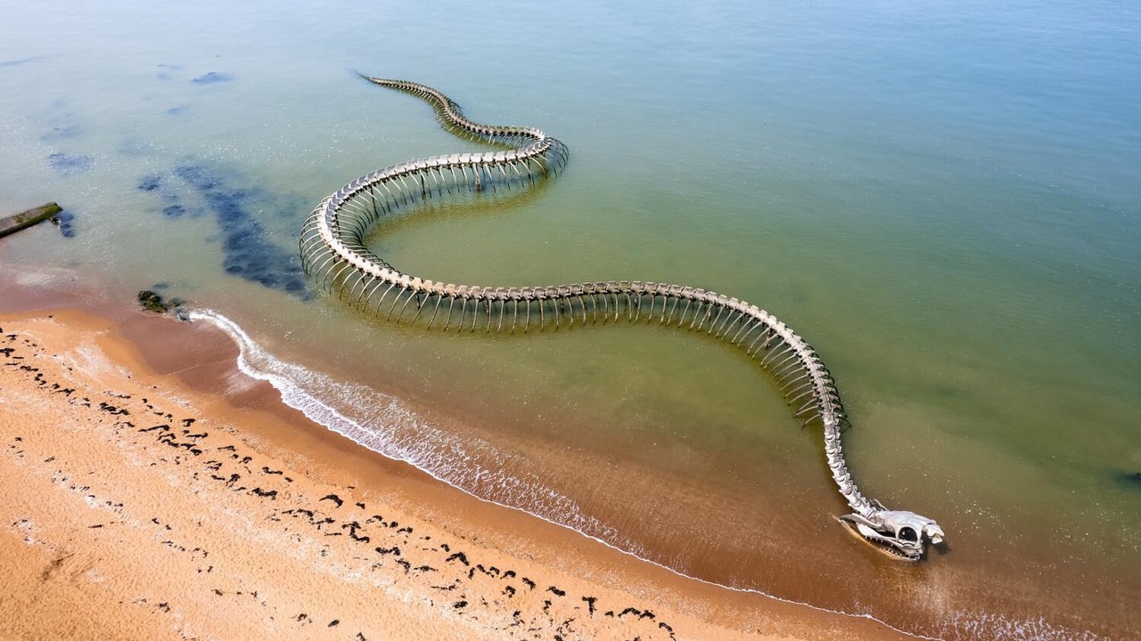 Photo of Outdoor in Saint-Brevin-l'Ocean