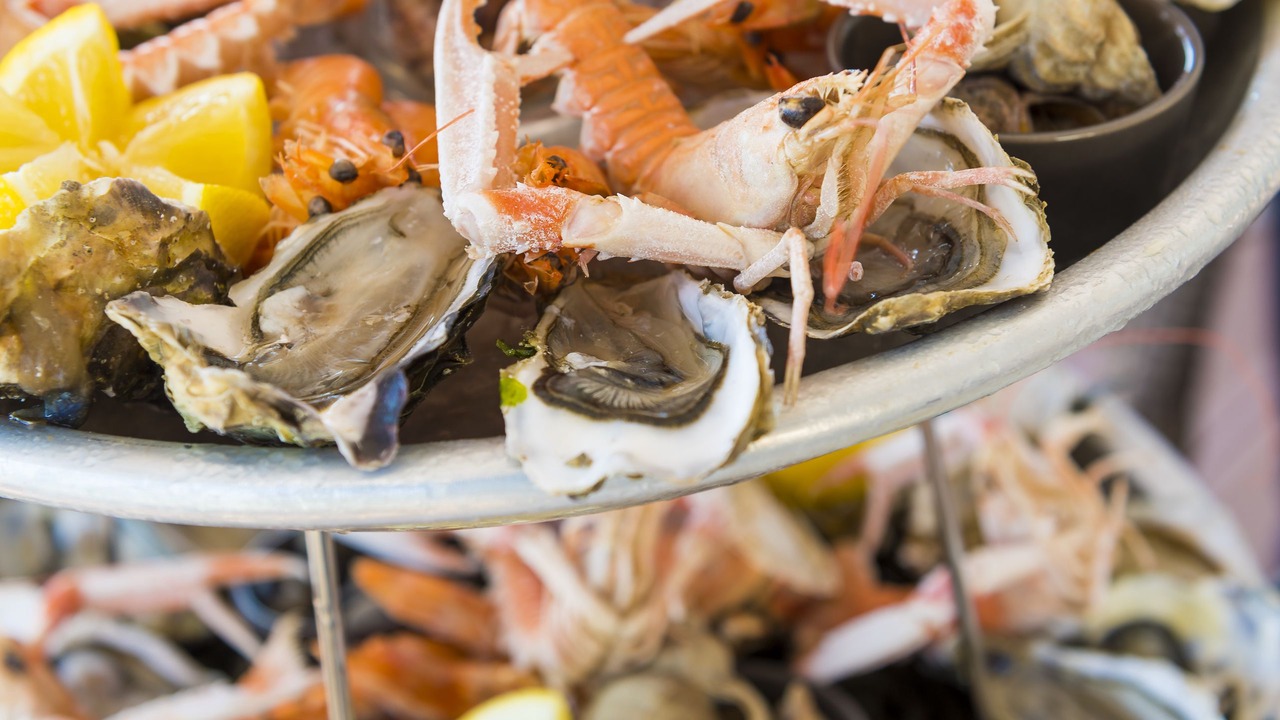 Photo of Others in Saint-Brevin-l'Ocean