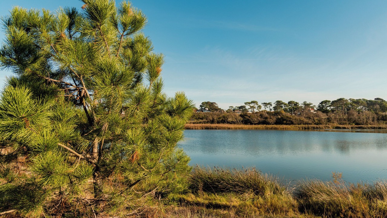 Photo of Outdoor in Anglet