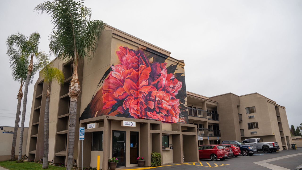 Photo of Outdoor in Lincoln Acres