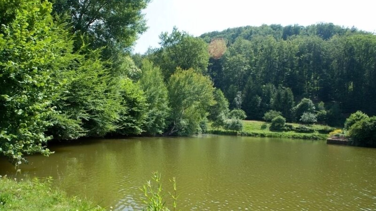 Photo of Outdoor in La Petite-Pierre