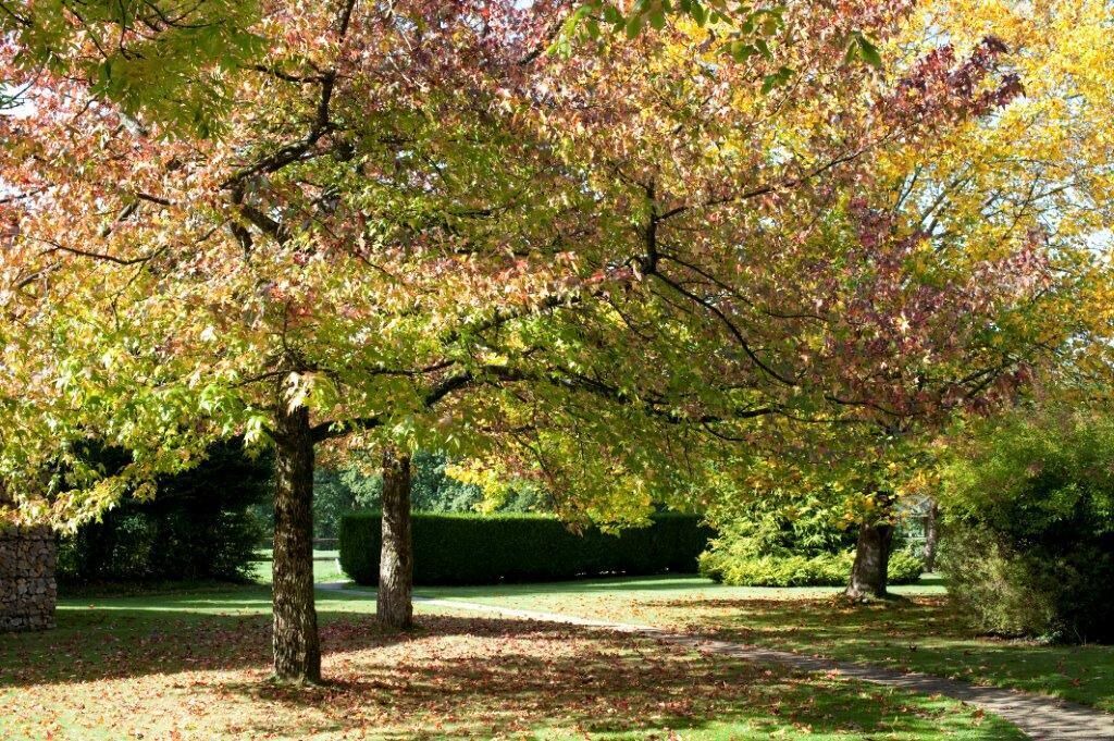 Photo of Outdoor in Juvigny-sous-Andaine