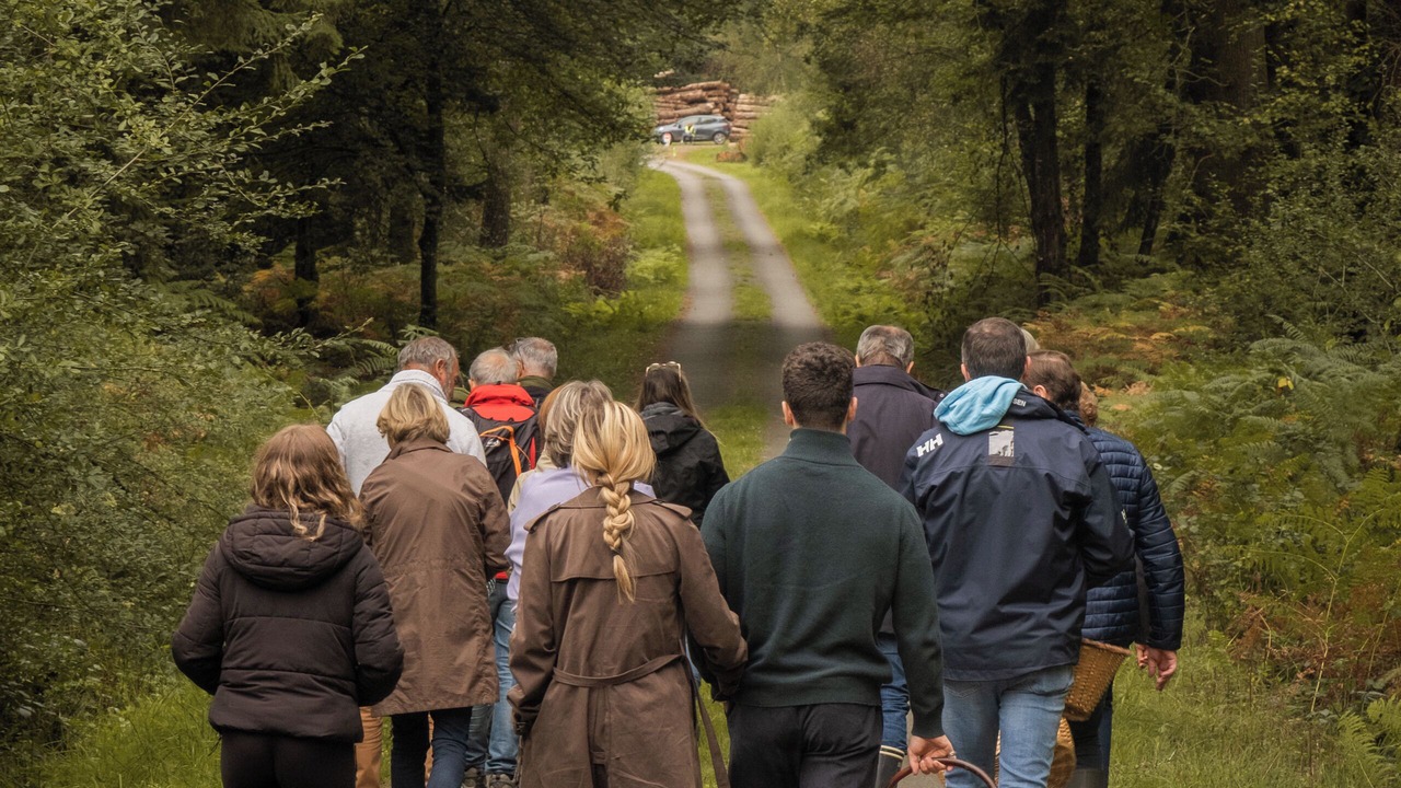 Photo of Outdoor in Juvigny-sous-Andaine