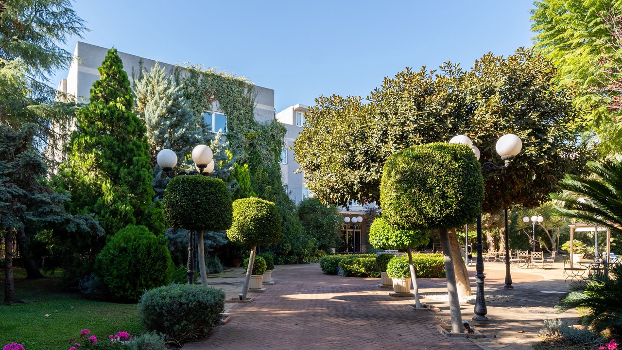 Photo of Outdoor in Picanya
