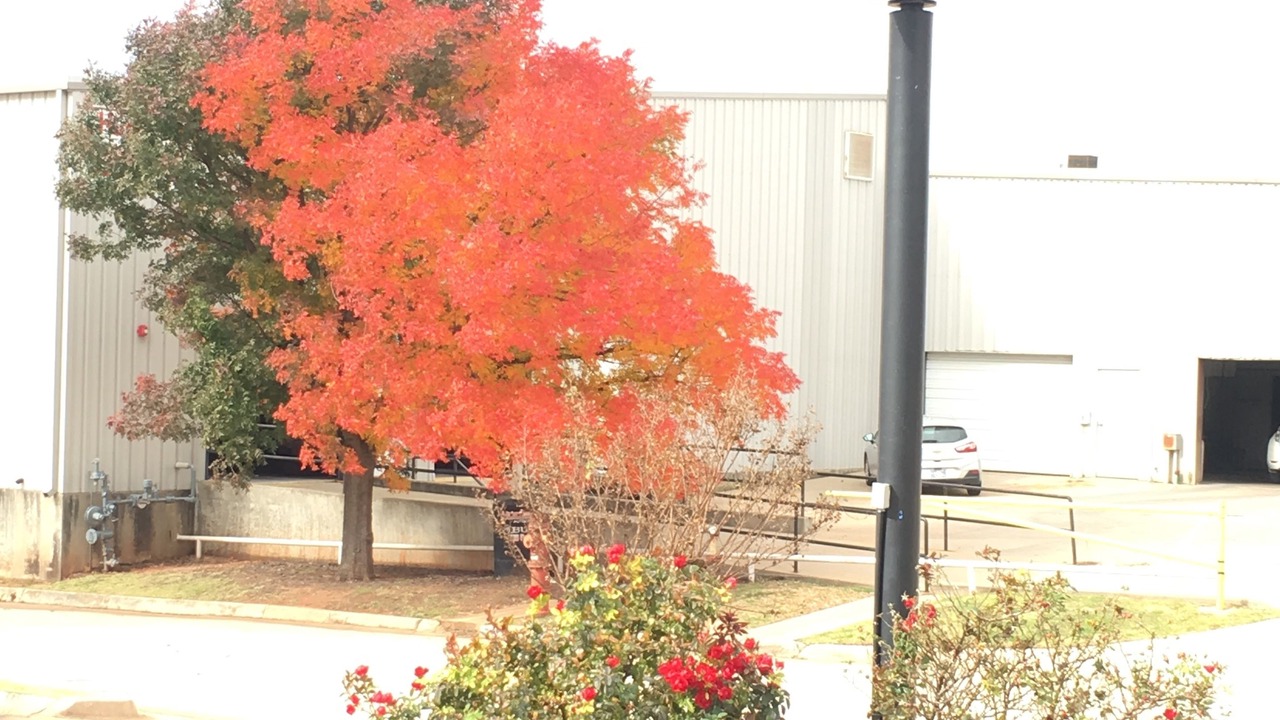 Photo of Patio Balcony in Midwest City