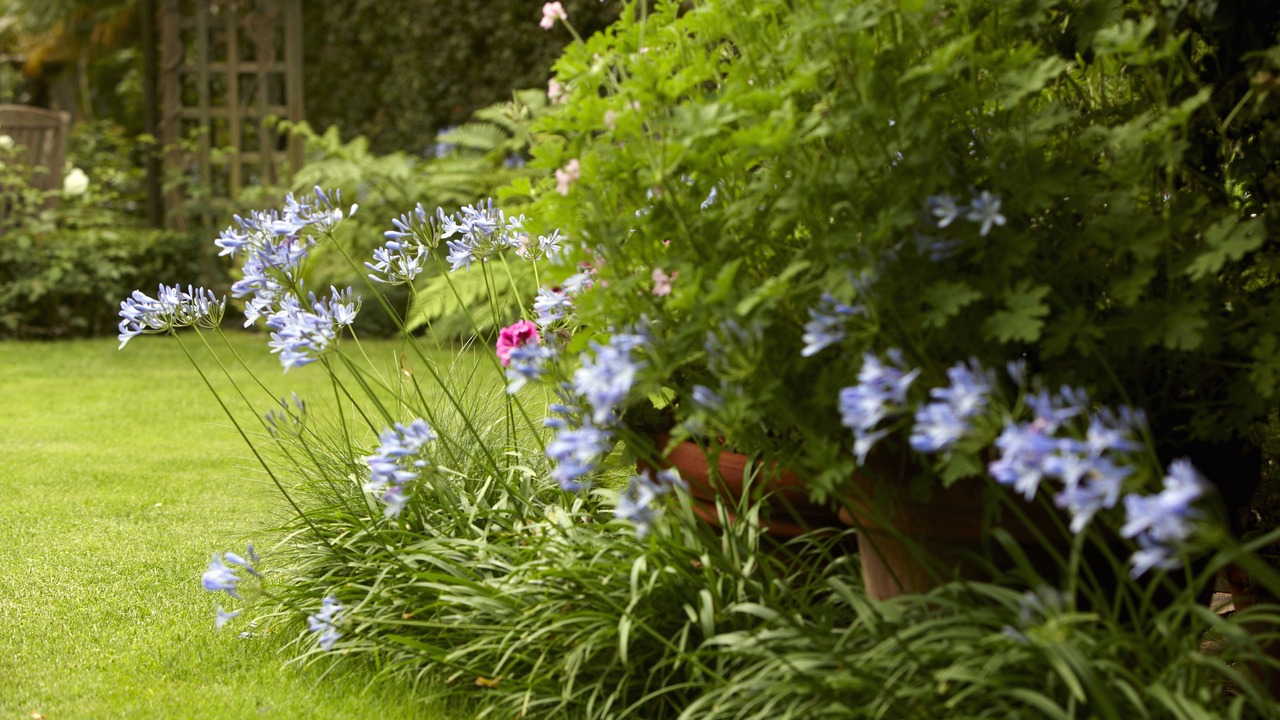 Photo of Outdoor in Upper East