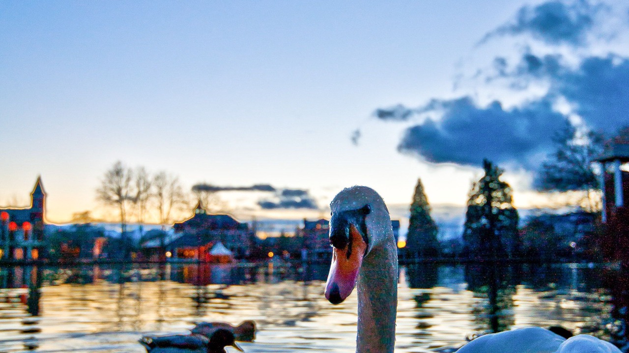Photo of Outdoor in Puigcerda