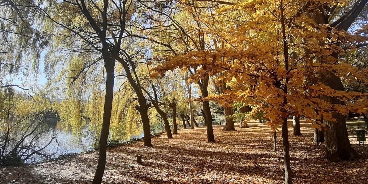 Photo of Outdoor in Puigcerda