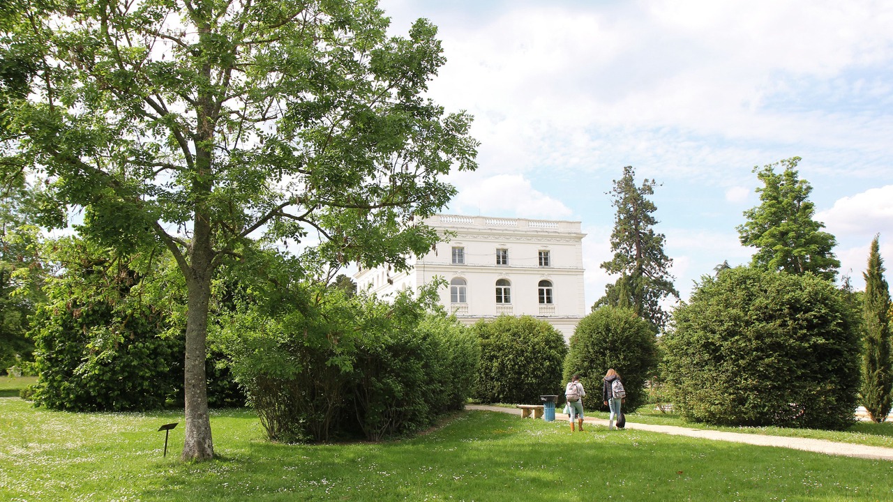 Photo of Outdoor in Buc