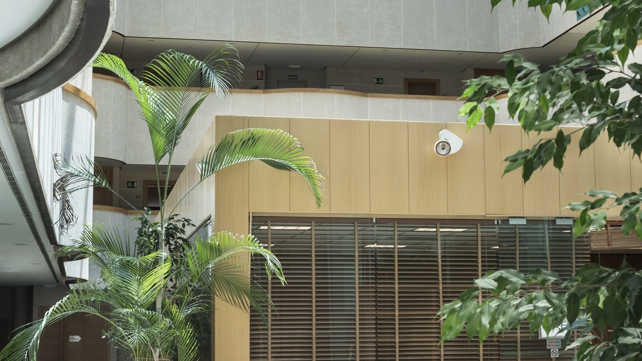 Photo of Outdoor in Las Matas