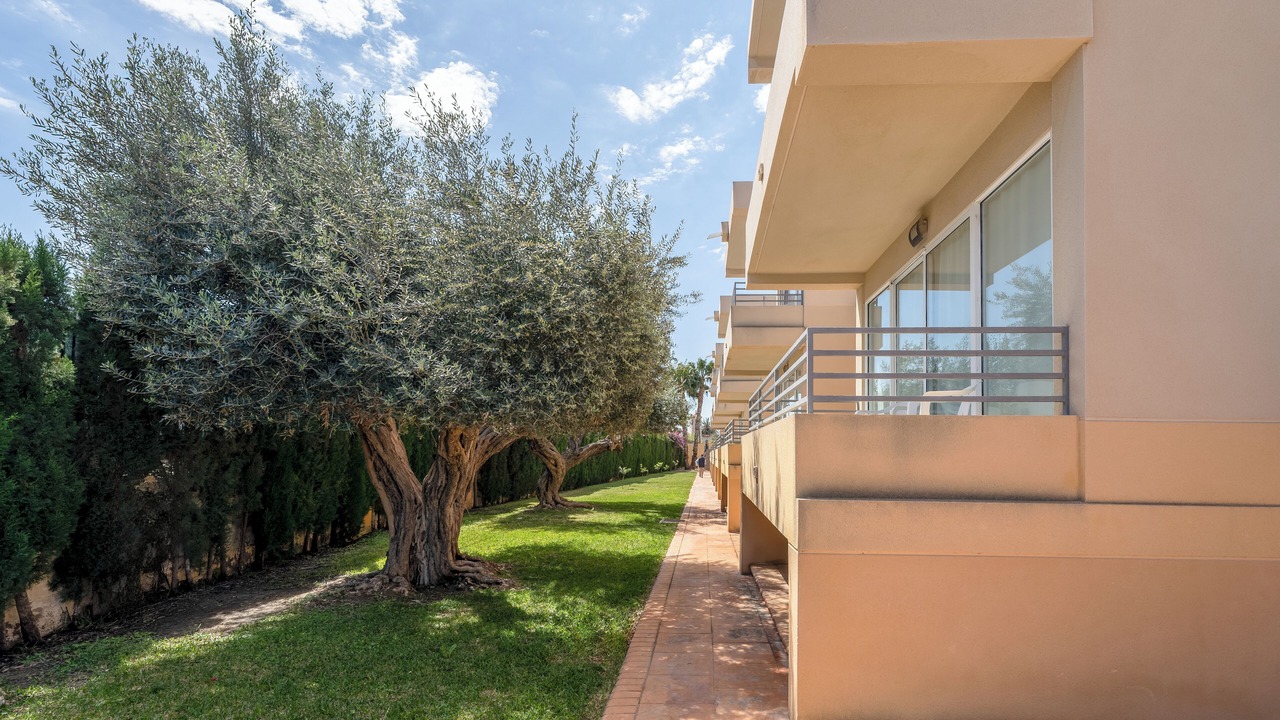 Photo of Outdoor in Muchamiel