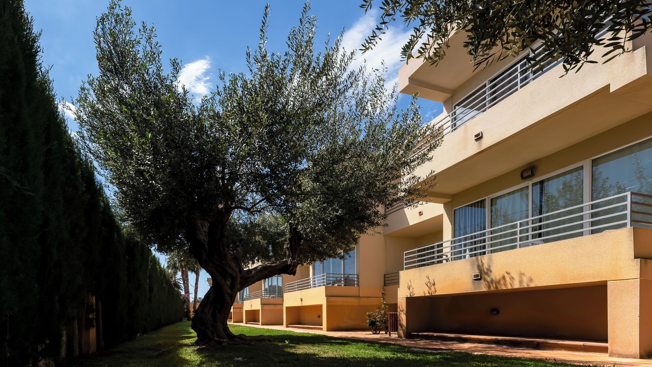 Photo of Outdoor in Muchamiel