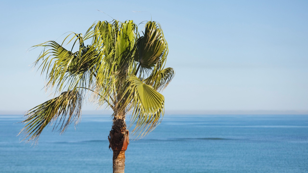 Photo of Outdoor in Denia