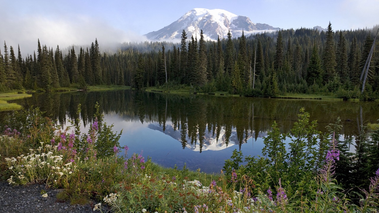 Photo of Outdoor in Downtown