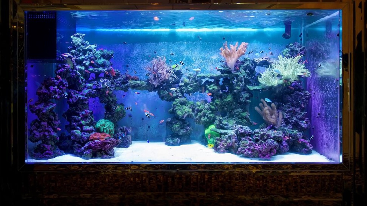 Photo of Others in Bowmansville