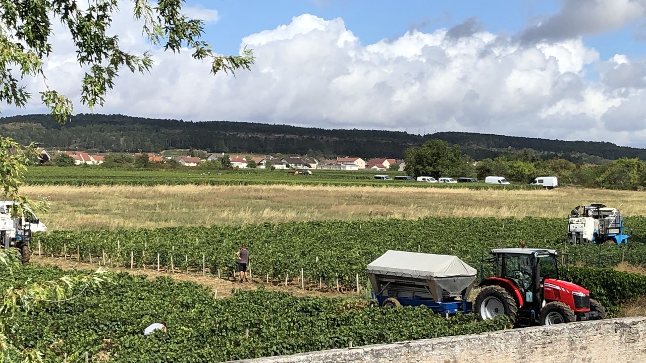 Photo of Others in Marsannay-la-Cote