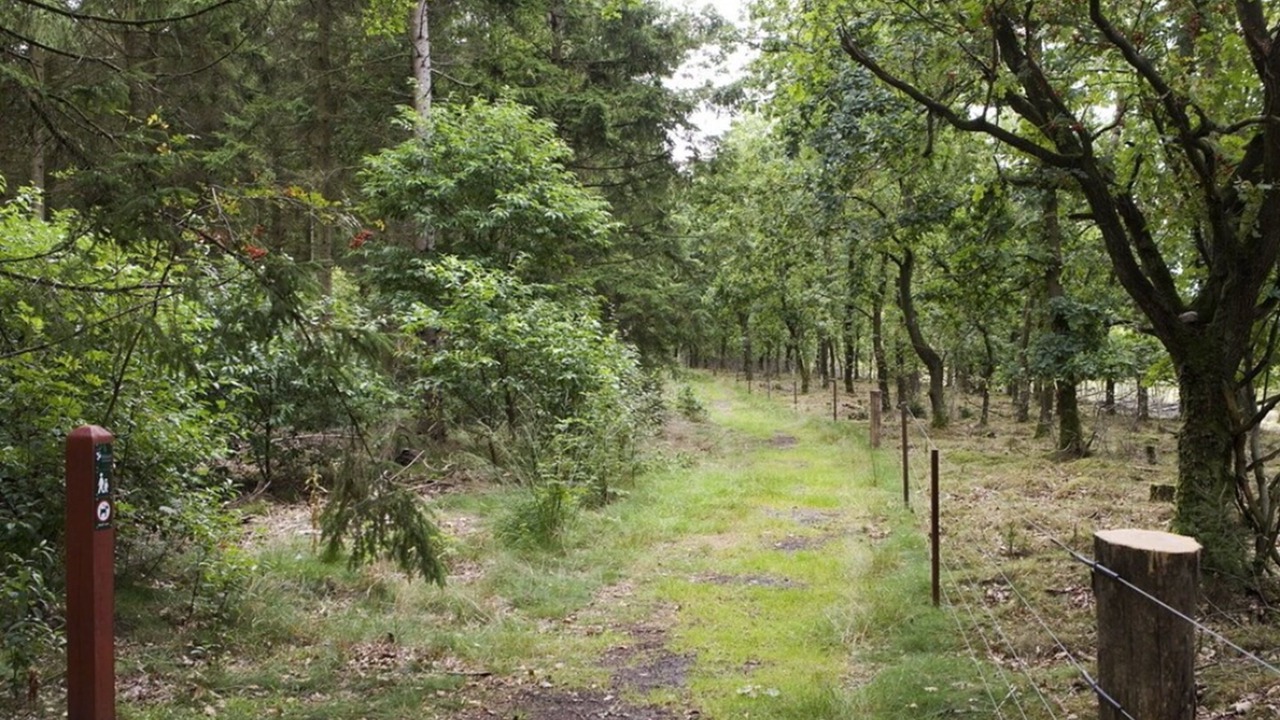 Photo of Outdoor in Grindsted