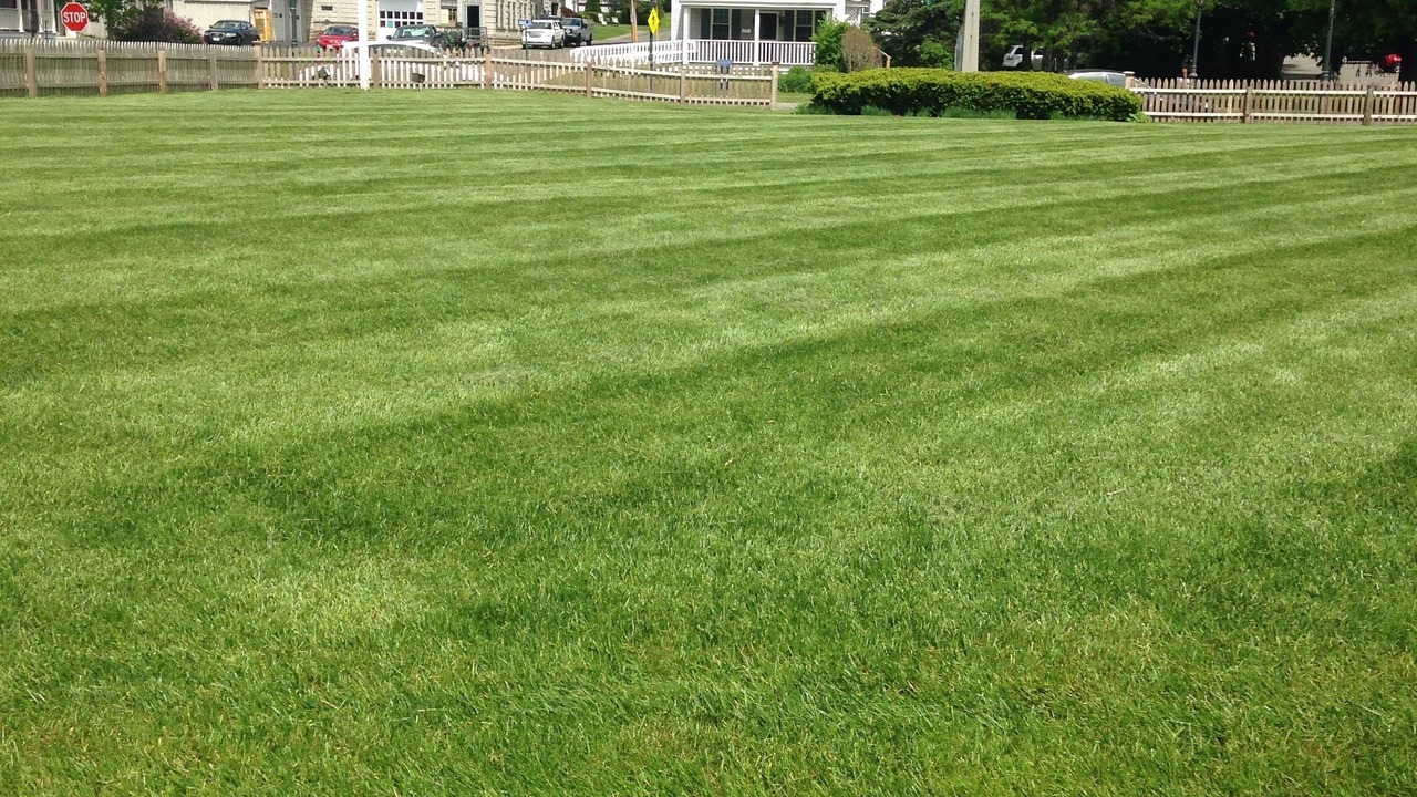 Photo of Outdoor in Lee