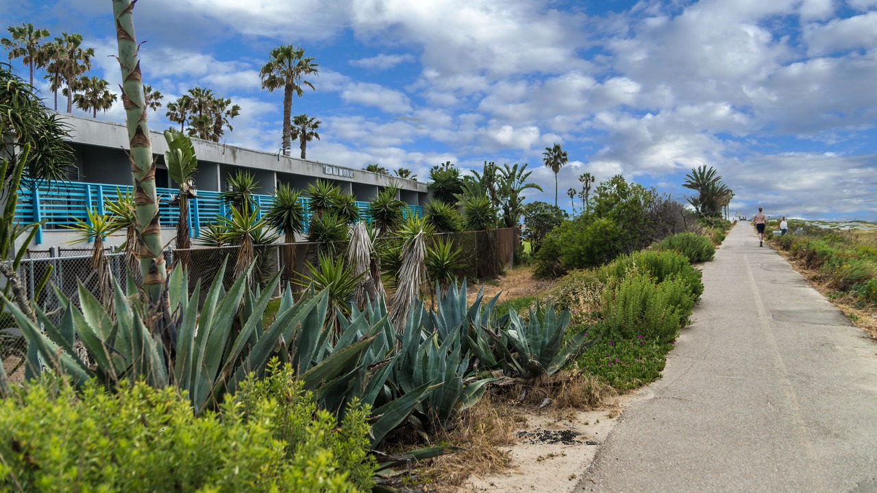 Photo of Outdoor in Ocean Beach