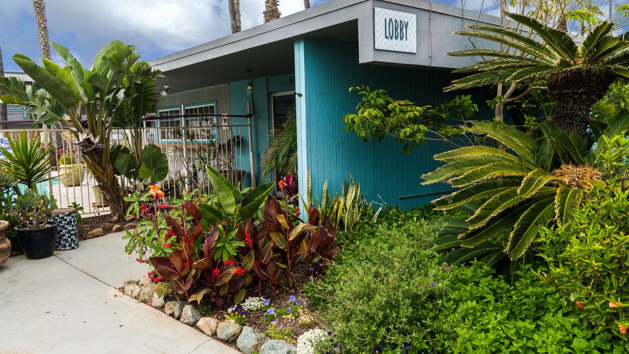 Photo of Outdoor in Ocean Beach