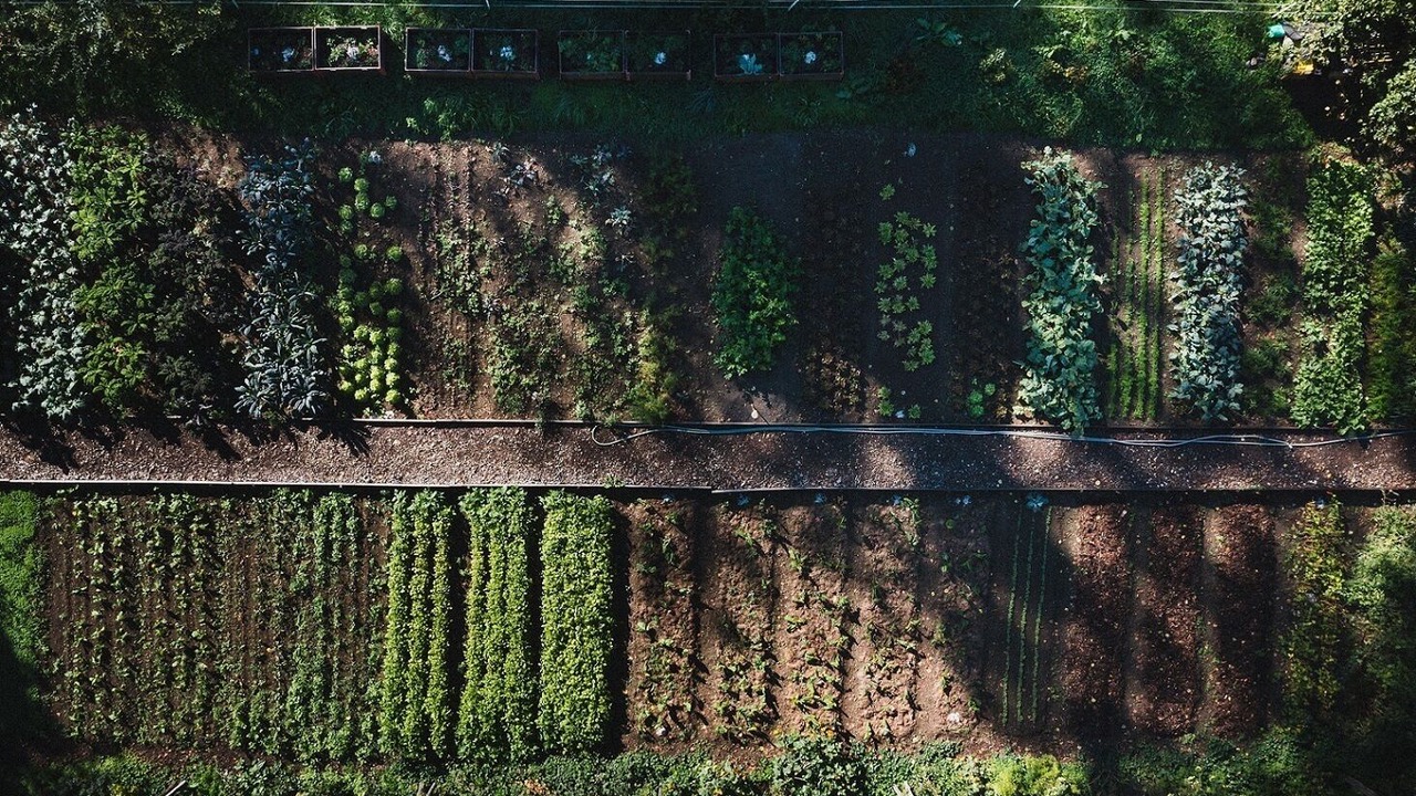 Photo of Outdoor in Giessbach