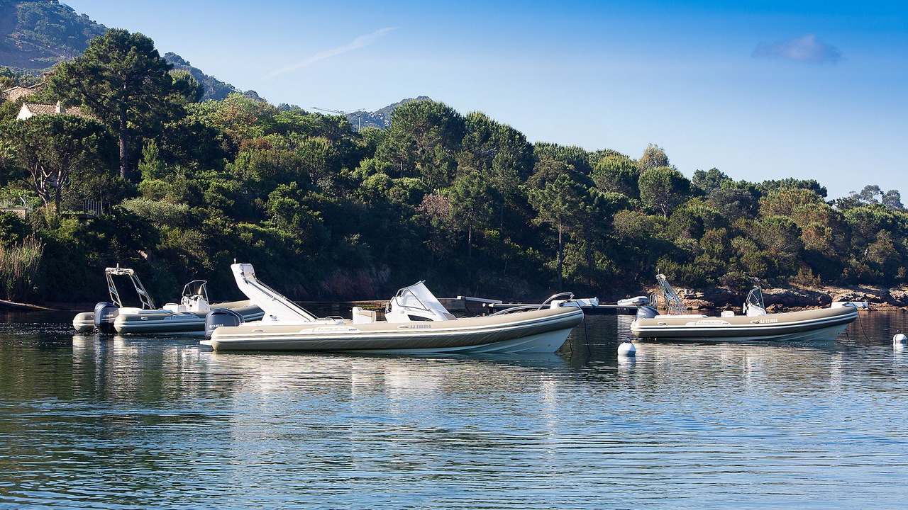 Photo of Others in Porto-Vecchio