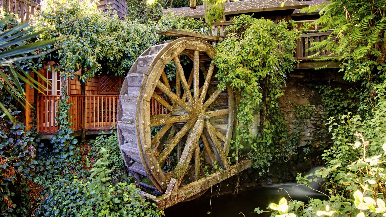 Photo of Patio Balcony in Westside Santa Cruz