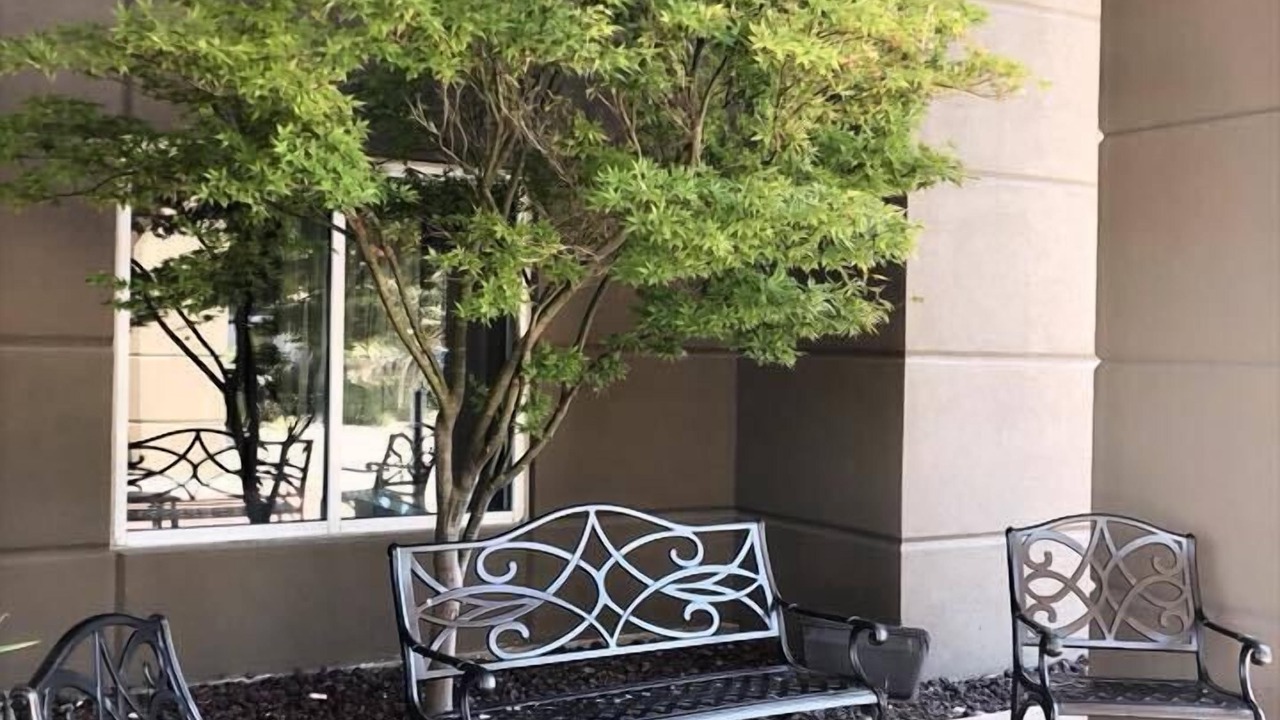 Photo of Patio Balcony in Lacy-Lakeview