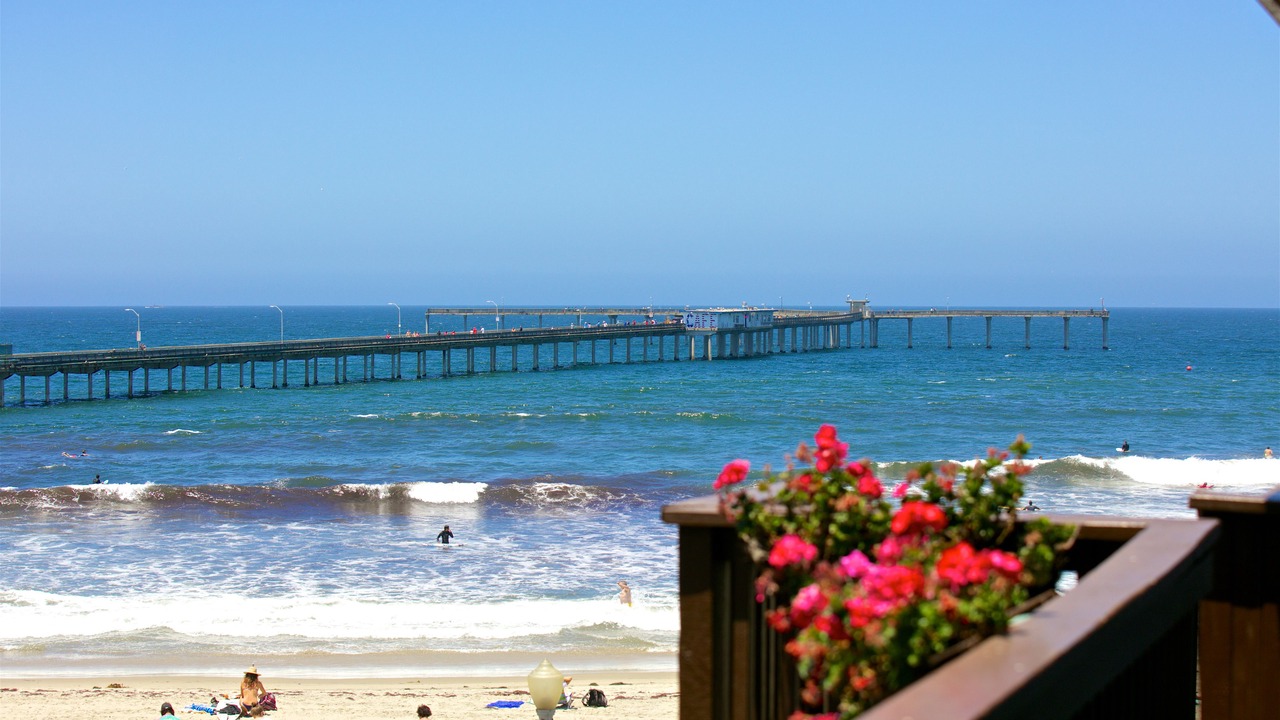 Photo of Others in Ocean Beach