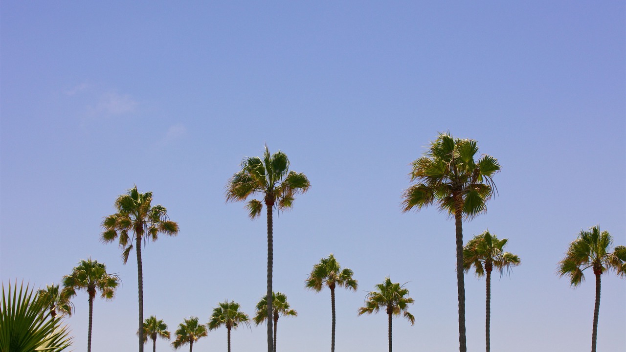 Photo of Others in Ocean Beach