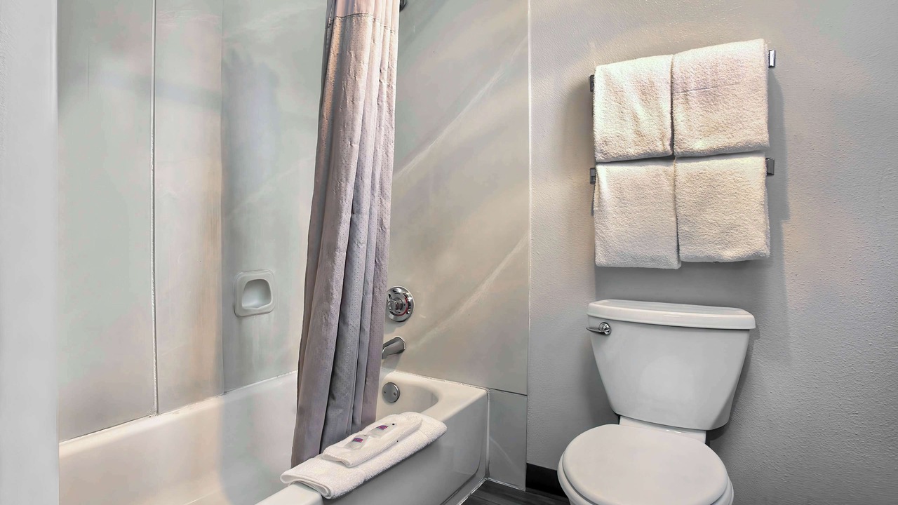 Photo of Others in Larkspur