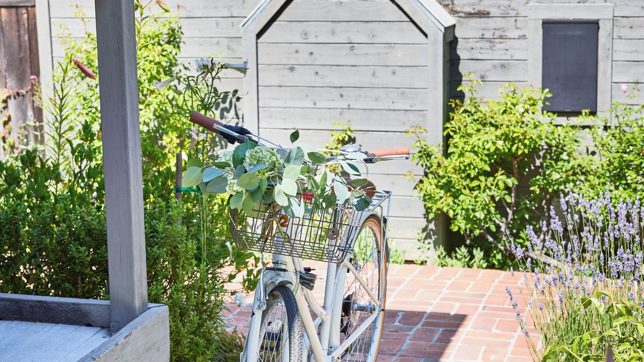 Photo of Outdoor in Yountville