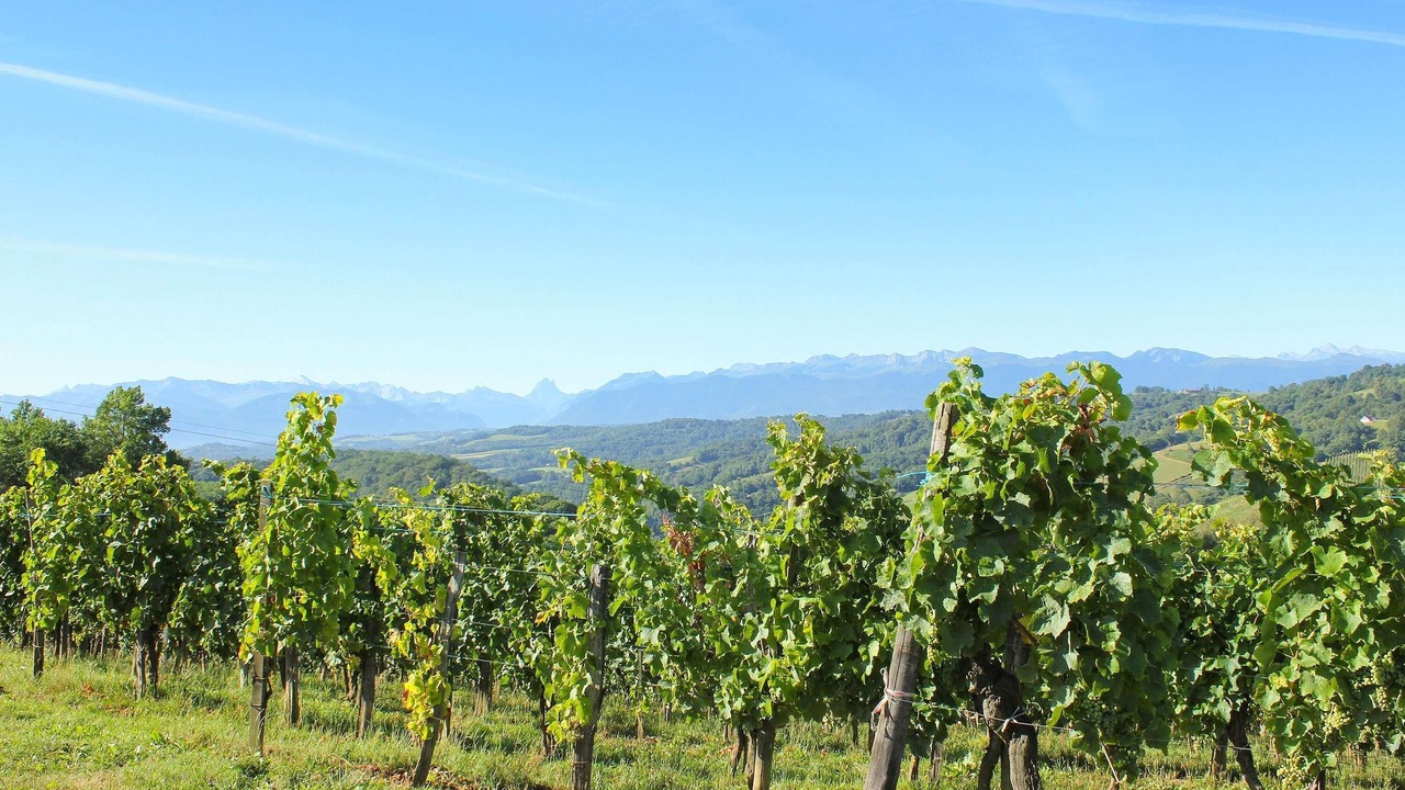 Photo of Others in Centre Ville