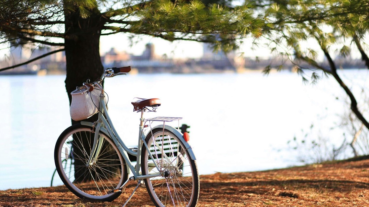 Photo of Others in Centre Ville