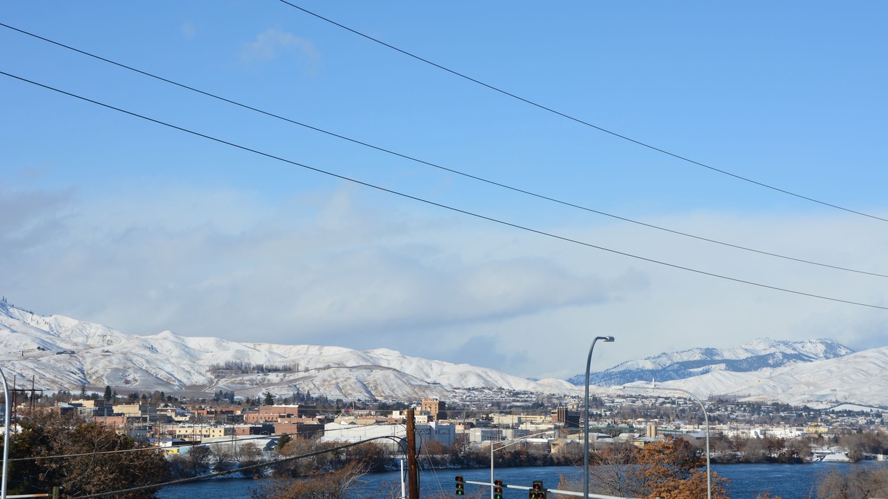 Photo of Others in Monitor