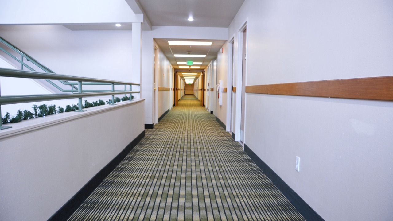 Photo of Others in Monitor