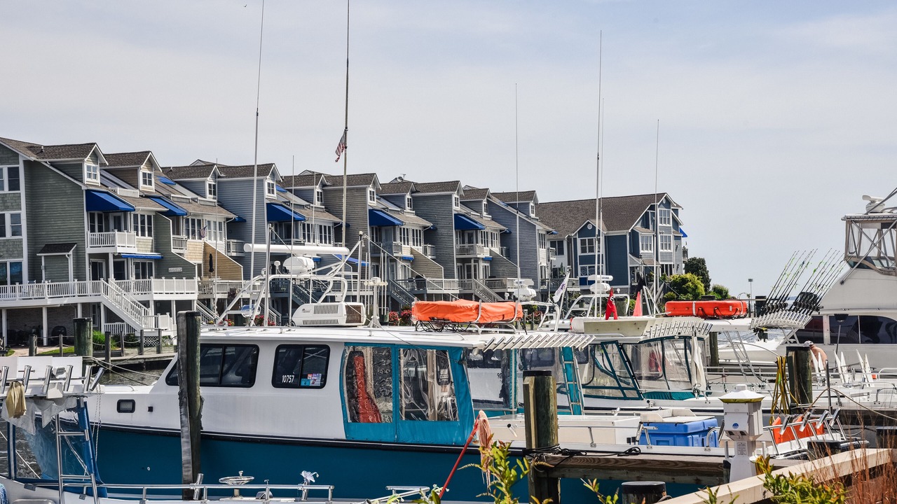 Photo of Others in Chesapeake Beach