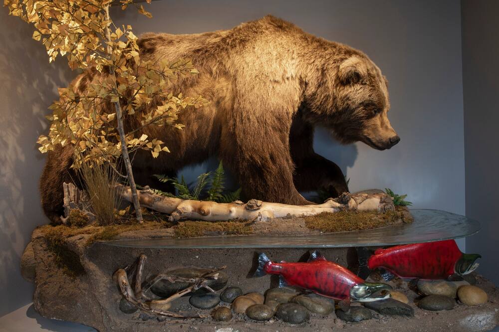 Photo of Others in Valdez