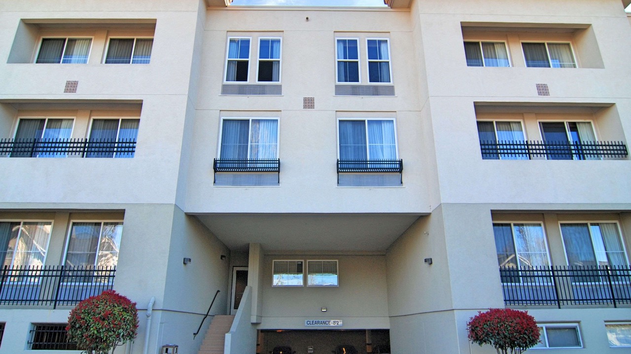 Photo of Outdoor in Jackson Park