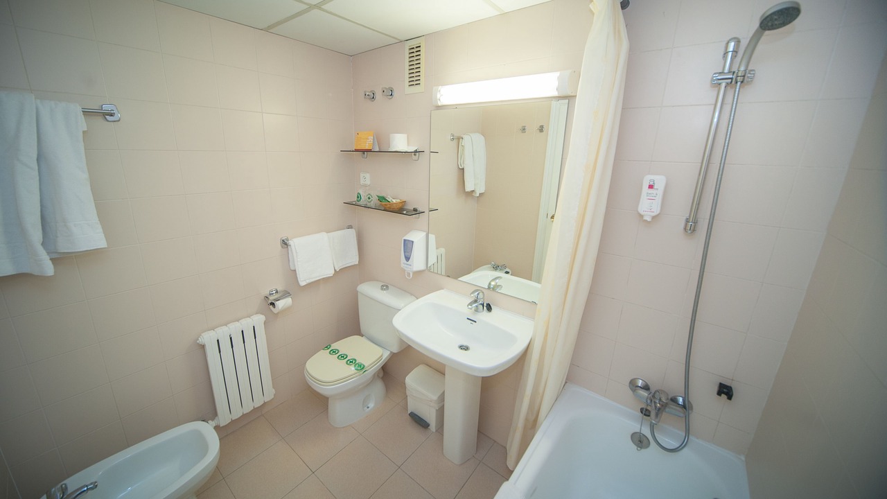Photo of Bathroom in Jaca