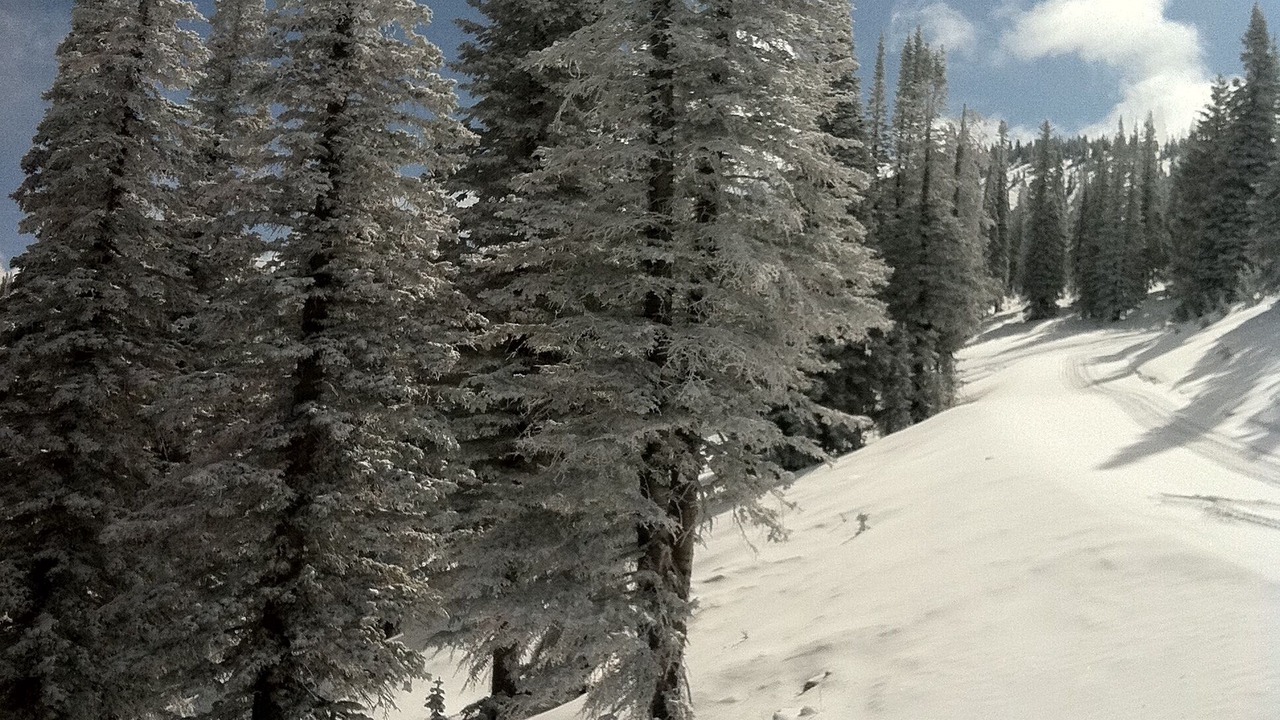 Photo of Others in Downtown Steamboat Springs