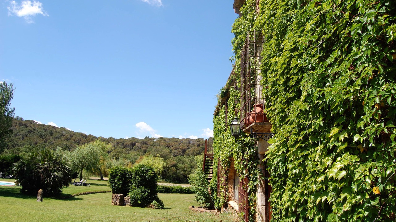 Photo of Outdoor in Pals