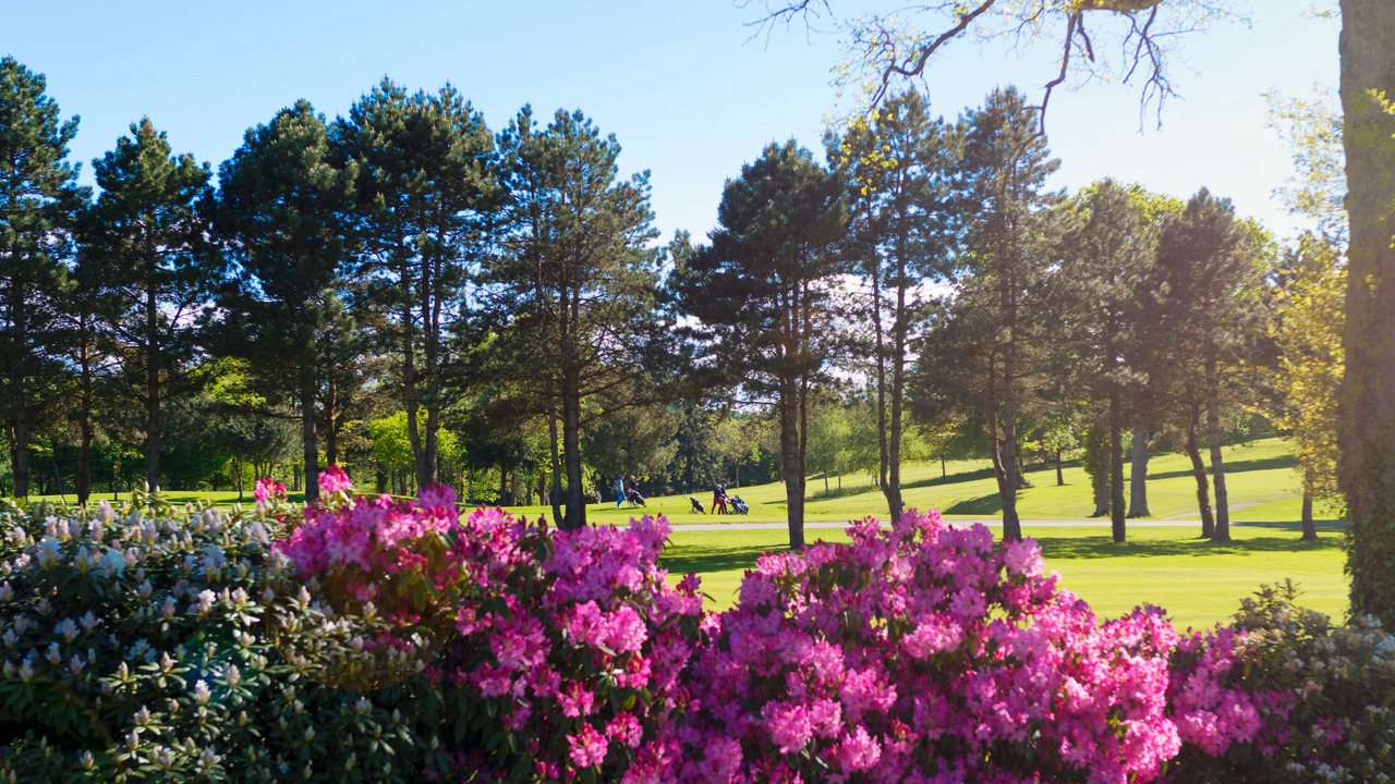 Photo of Outdoor in Le Tronchet