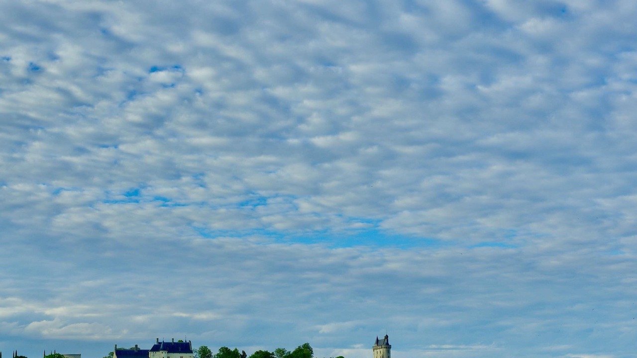 Photo of Others in Chinon